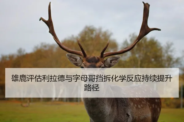 雄鹿评估利拉德与字母哥挡拆化学反应持续提升路径
