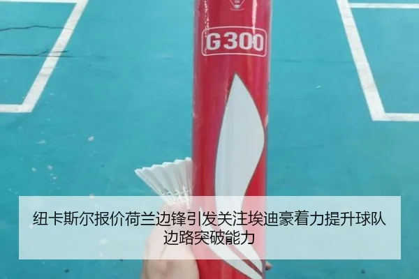 纽卡斯尔报价荷兰边锋引发关注埃迪豪着力提升球队边路突破能力