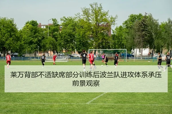 莱万背部不适缺席部分训练后波兰队进攻体系承压前景观察
